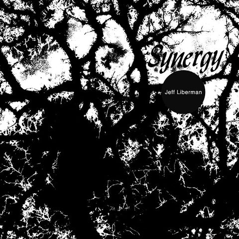 JEFF LIBERMAN - Synergy ((Vinyl))