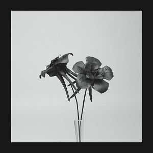 Jlin - Dark Lotus ((Vinyl))
