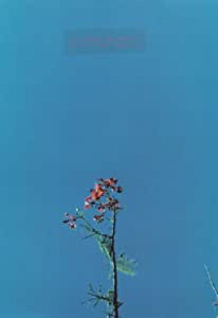 Joanna Newsom - & THE YS STREET BAND EP ((Vinyl))