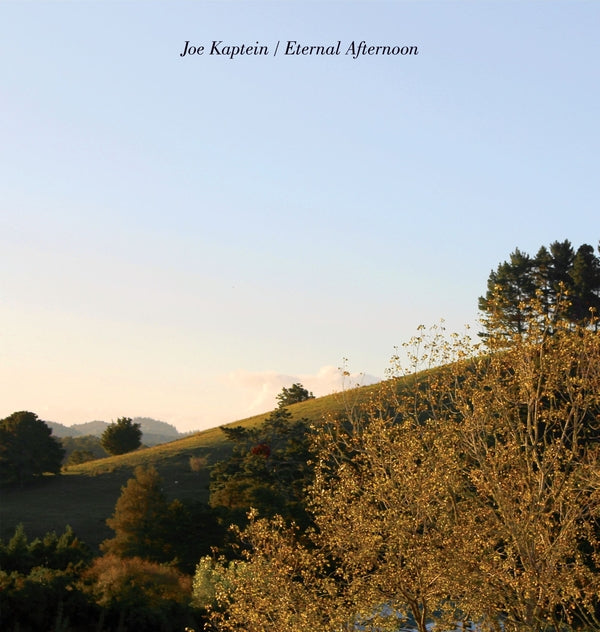 Joe Kaptein - Eternal Afternoons ((Vinyl))