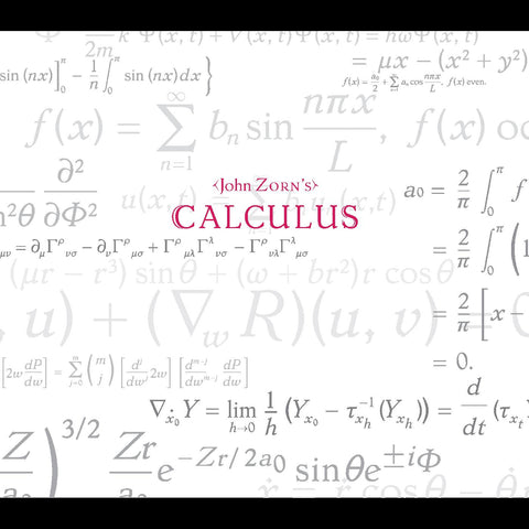 John Zorn - Calculus ((CD))