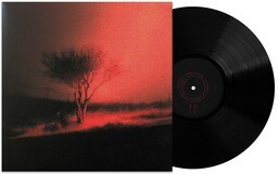 Joji - Piss In The Wind [Explicit Content] ((Vinyl))