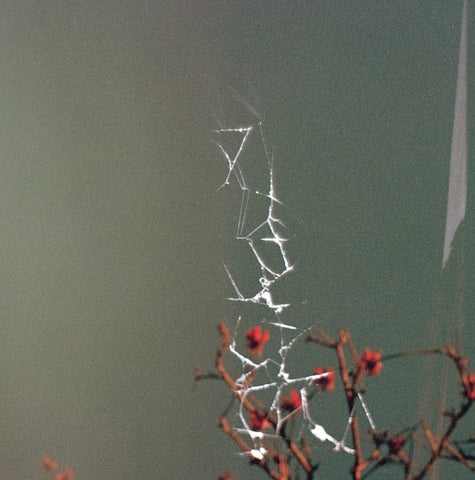 JON DALE - Last Blues ((Vinyl))