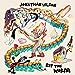 Jonathan Wilson - Eat the Worm ((CD))