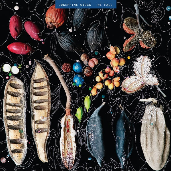 JOSEPHINE WIGGS - We Fall ((Vinyl))