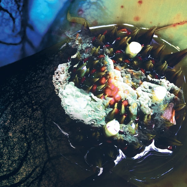 JULIA REIDY - In Real Life ((Vinyl))