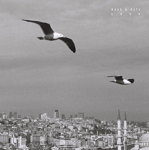 KAAE & BATZ - Lush ((Vinyl))