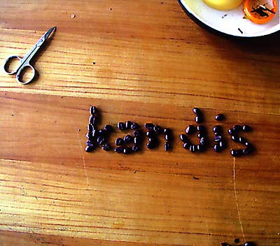 KANDIS - Airflow ((CD))