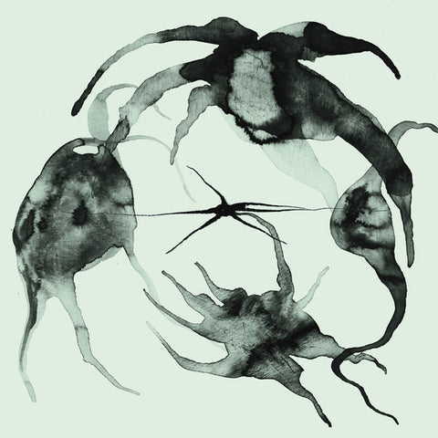 KASSEL JAEGER - A Rift In the Horizon's Wall ((Vinyl))