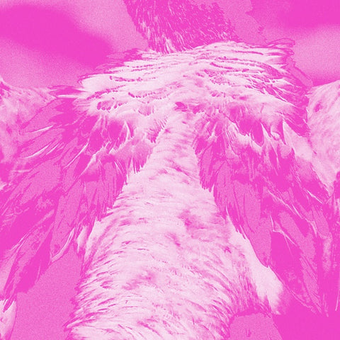 KATE CARR - A field guide to phantasmic birds ((CD))