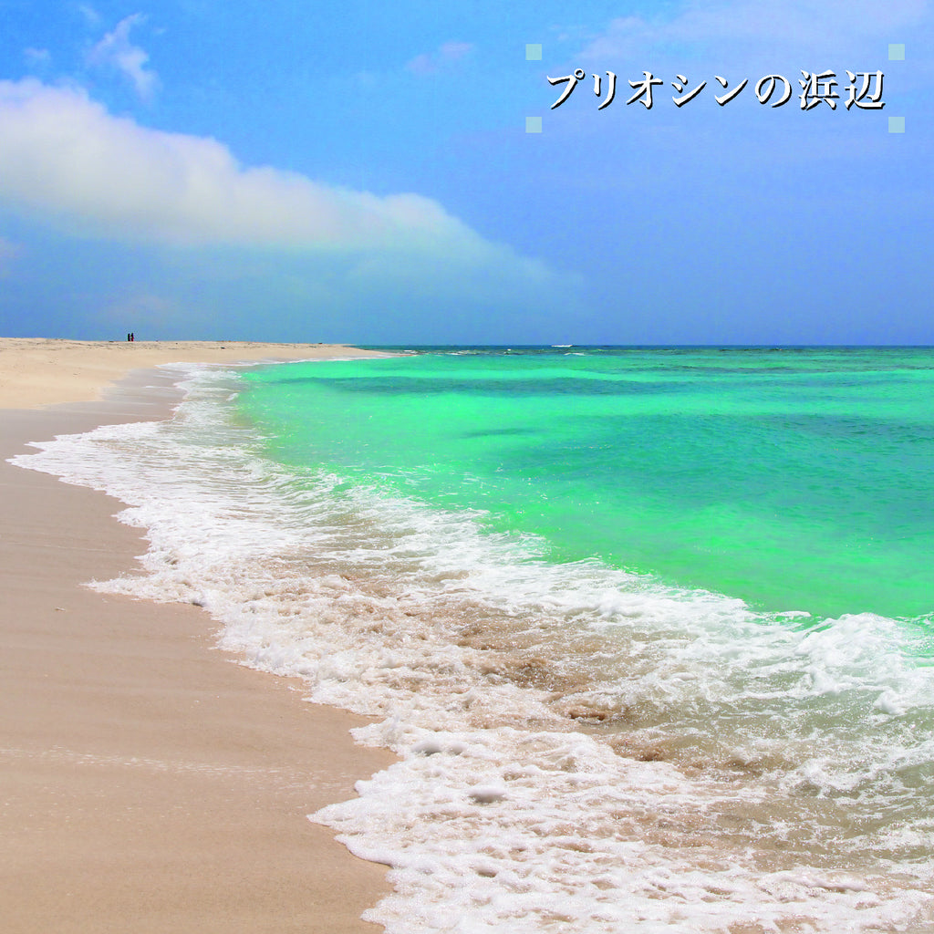 Ken-Ichiro Isoda - Beach Of The Pliocene ((Vinyl))