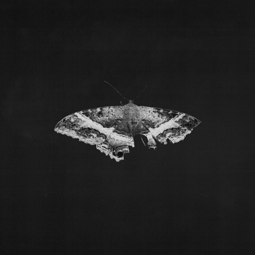 Kendrick Lamar - To Pimp A Butterfly (10 Year Anniversary Edition) - Alternate Artwork [180G 2 Lp] ((Vinyl))