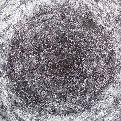 Kevin Drumm - The Back Room ((Vinyl))