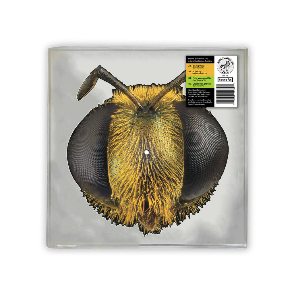 King Gizzard & The Lizard Wizard - Big Fig Wasp (Bee/Bug Shaped Vinyl) ((Vinyl))