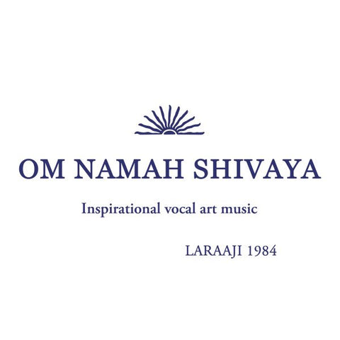 Laraaji - Om Namah Shivaya ((Vinyl))