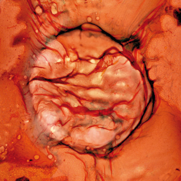 LCC - Bastet ((Vinyl))