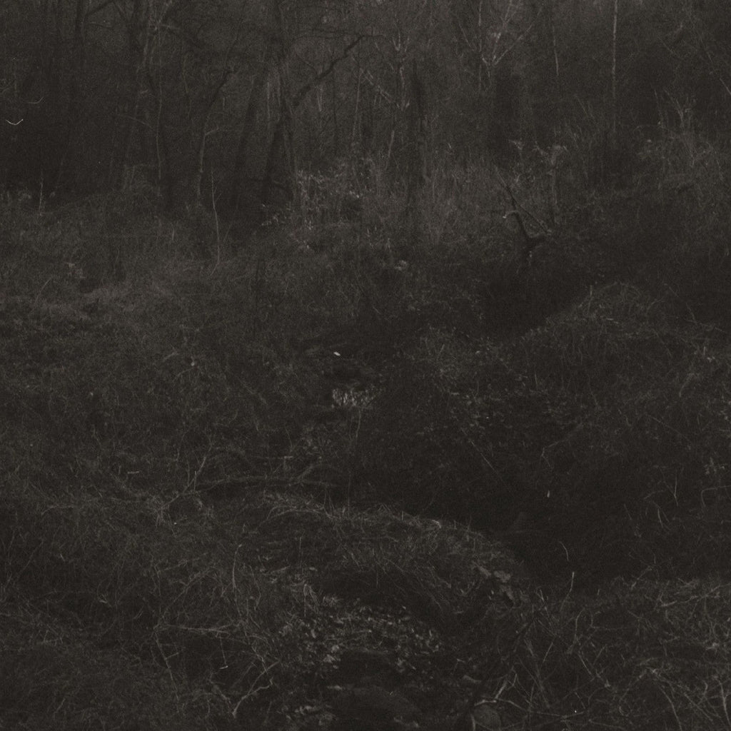 Lesley Mok - Transient ((Vinyl))