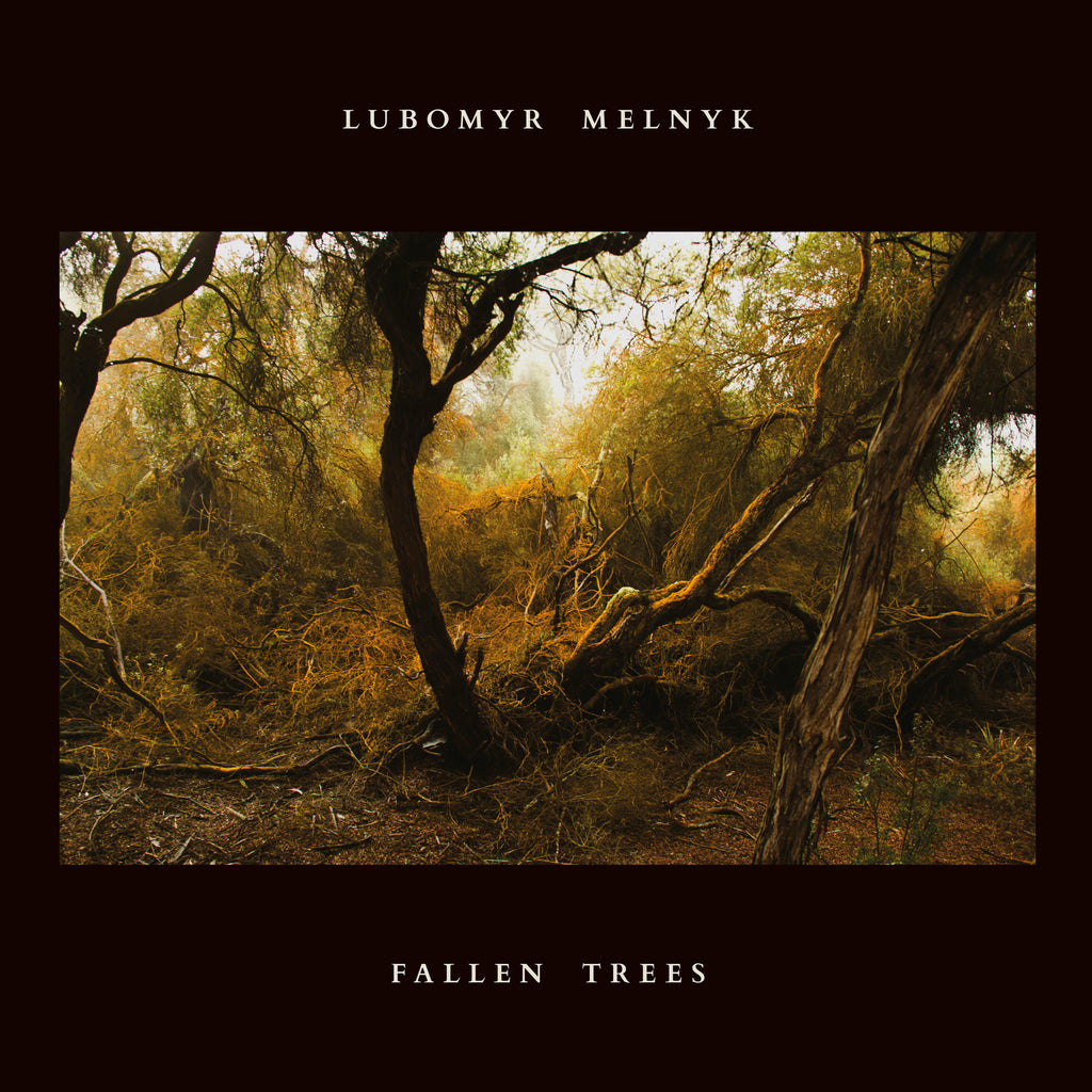 Lubomyr Melnyk - Fallen Trees ((CD))