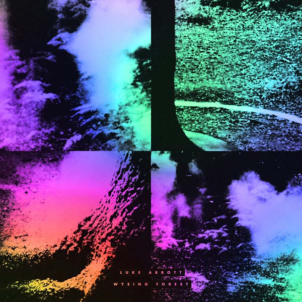 LUKE ABBOTT - Wysing Forest ((CD))