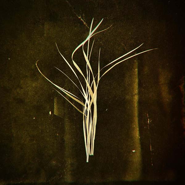 LUMISOKEA - Mnemosyne ((Vinyl))