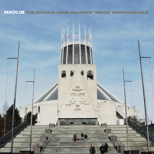 Madlib - Seeds (Instrumentals) ((Vinyl))