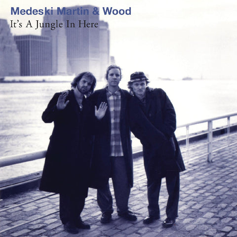 Martin & Wood Medeski - It's a Jungle in Here ((Vinyl))