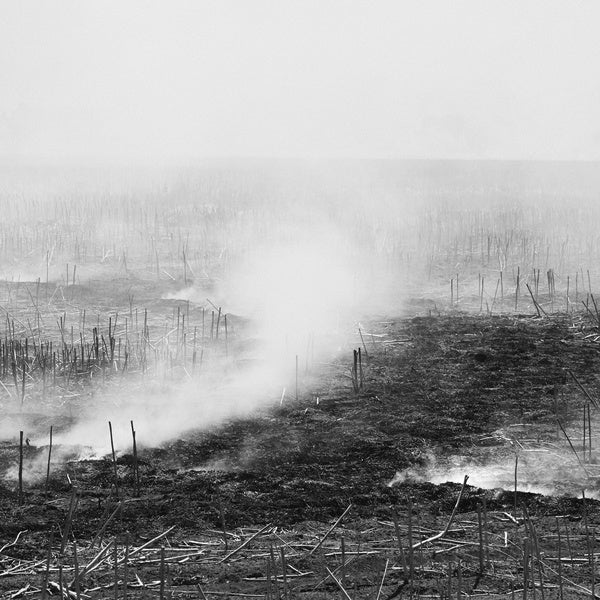 MATT ROSNER - Empty, Expanding, Collapsing ((CD))