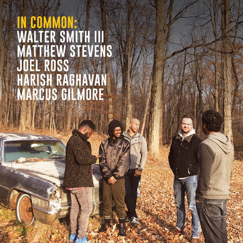 Matthew & Walter Smith III Stevens - In Common: ((Vinyl))