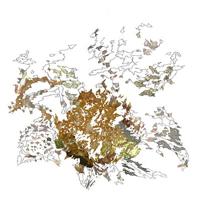 Max Eilbacher - Red Anxiety Tracers ((Vinyl))