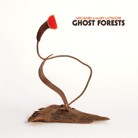 Meg And Mary Lattimore Baird - Ghost Forests (GREEN VINYL) ((Vinyl))