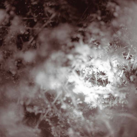 MIKE WEIS - Don't Know, Just Walk ((Vinyl))