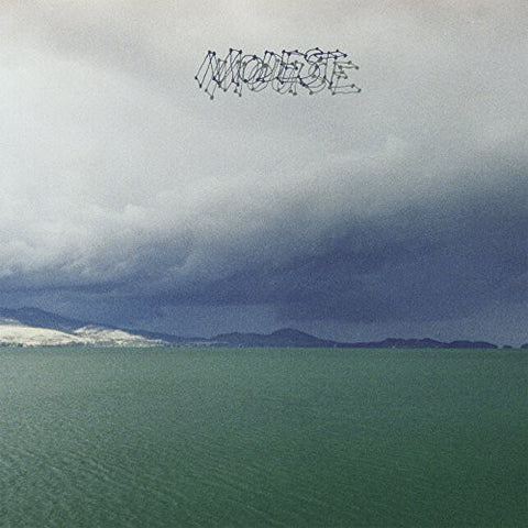 Modest Mouse - The Fruit That Ate Itself ((Vinyl))