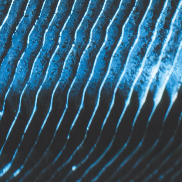 MONOLAKE - Gravity ((Vinyl))