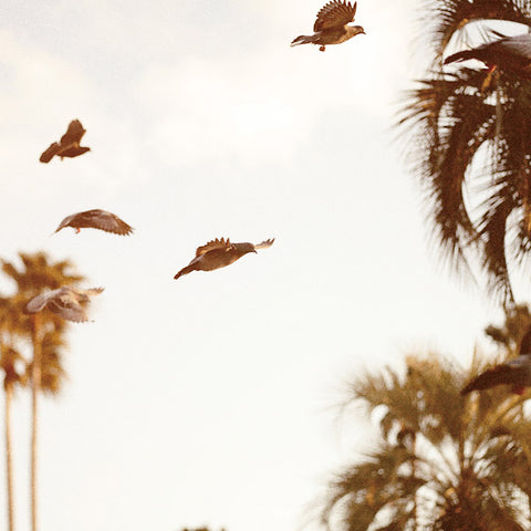 MOTOHIKO HAMASE - Intaglio ((Vinyl))