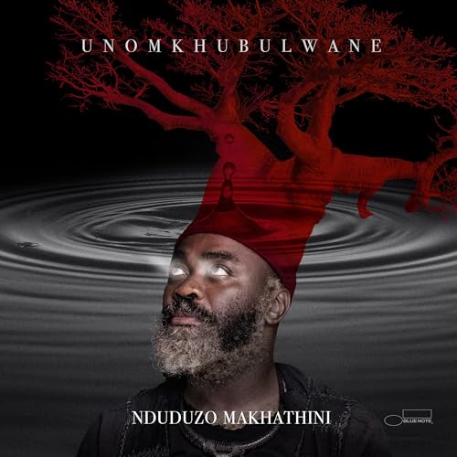 Nduduzo Makhathini - uNomkhubulwane ((CD))
