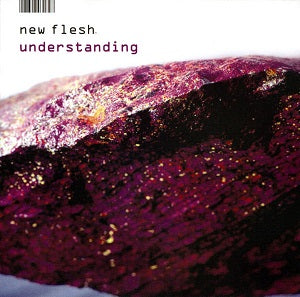 New Flesh - Understanding ((CD))