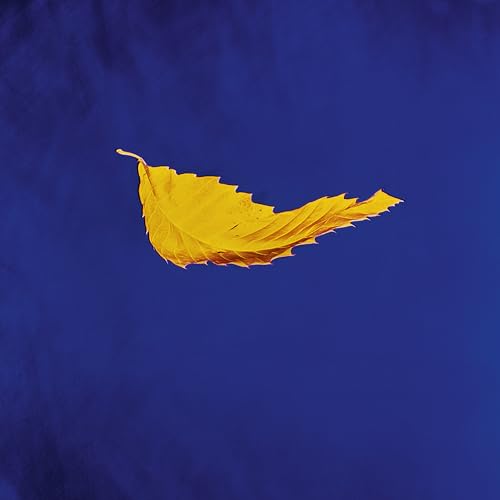 New Order - True Faith (2023 Remaster) ((Vinyl))