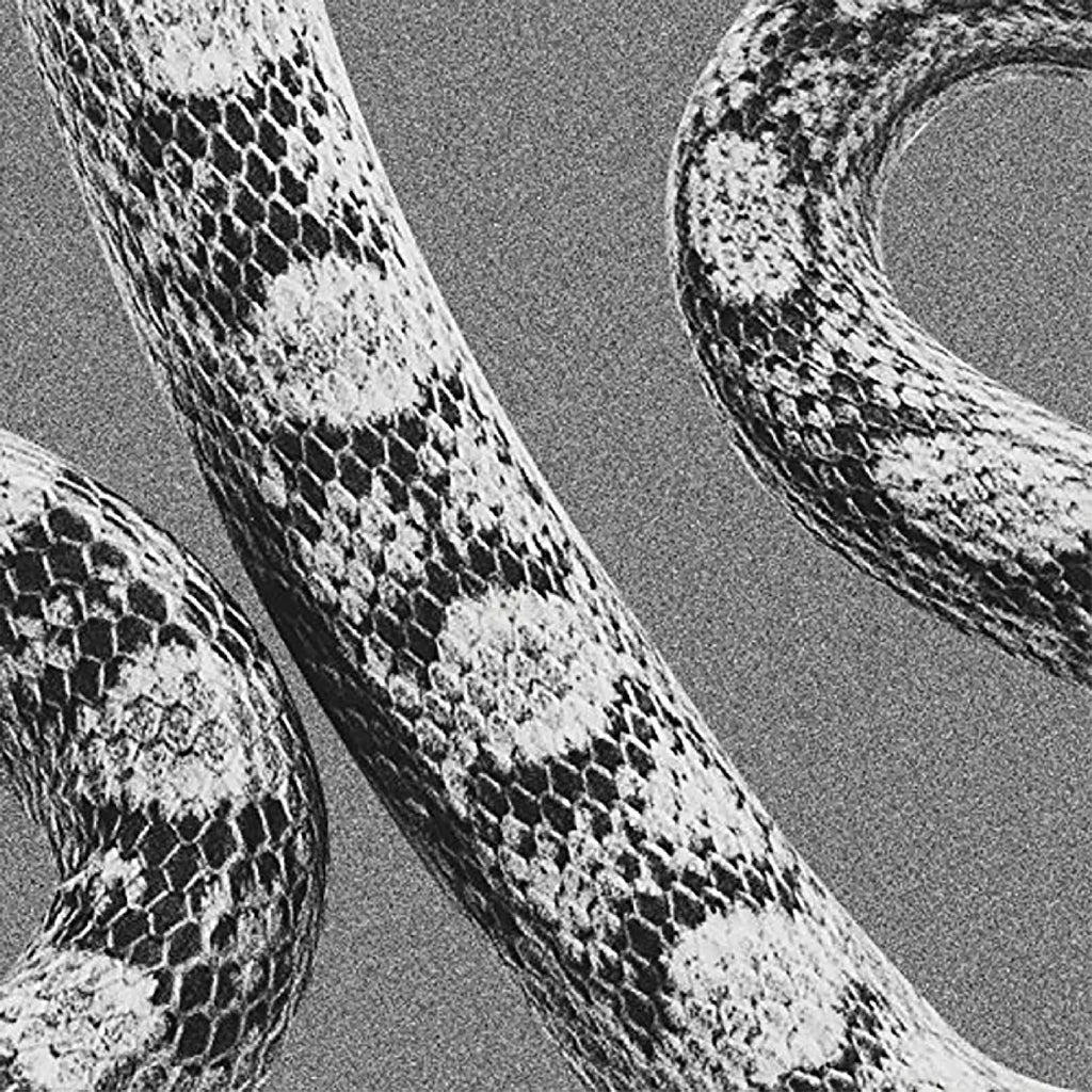 Noah Gundersen - God Don'T Talk To Strangers/Lady Of The Ocean ((Vinyl))