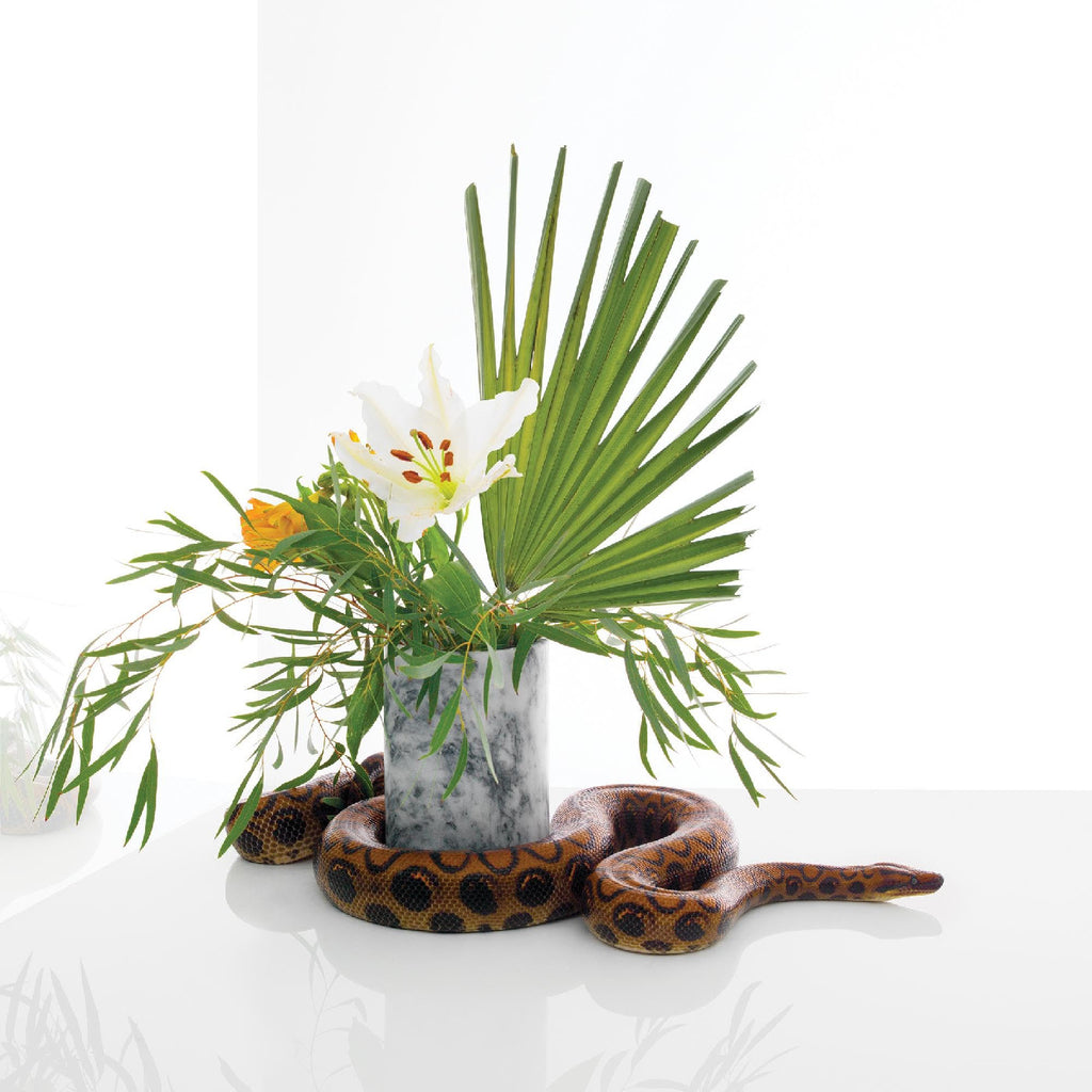 Noah Gundersen - White Noise ((CD))