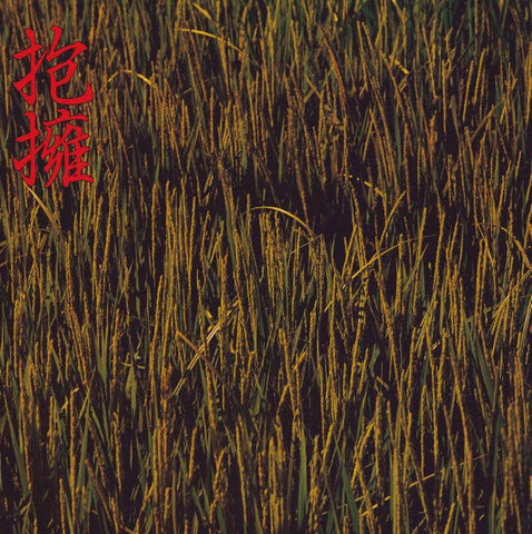 Noidunzuri（のいづんずり) - Houyou (抱擁 ((Vinyl))