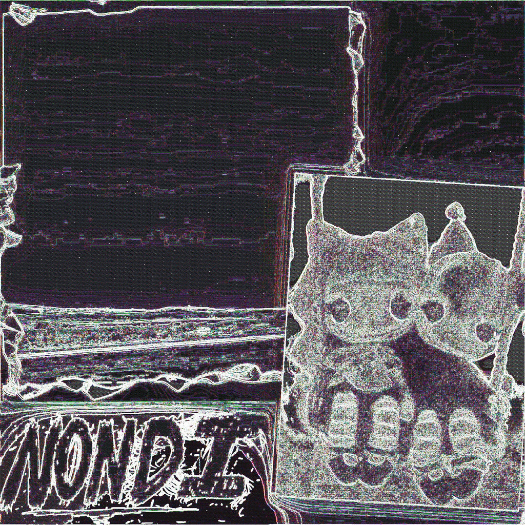 Nondi_ - Nondi... ((Vinyl))