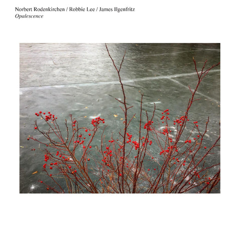 Norbert Rodenkirchen/Robbie Lee/James Ilgenfritz - Opalescence ((CD))