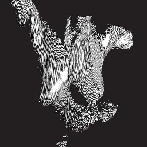 Oceansize - Self Preserved While The Bodies Float Up (15Th Anniversary) [3Lp] ((Vinyl))