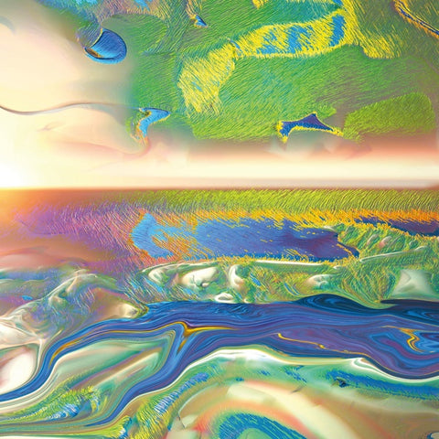 ORA CLEMENTI - Sylva Sylvarum ((Vinyl))