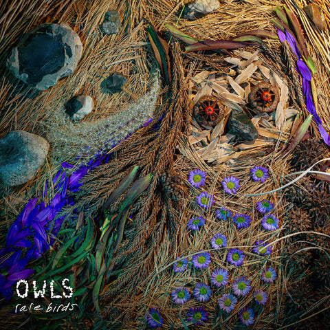 Owls - Rare Birds ((Vinyl))