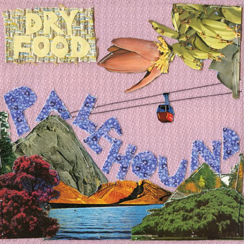Palehound - Dry Food ((Vinyl))