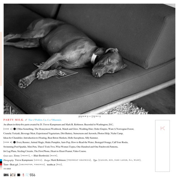 PARTY MILK - Your Problem ((Vinyl))