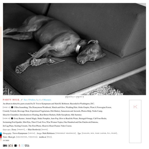 PARTY MILK - Your Problem ((Vinyl))