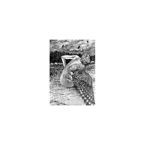 Patrick Lysaght - For The Birds [LP] ((Vinyl))
