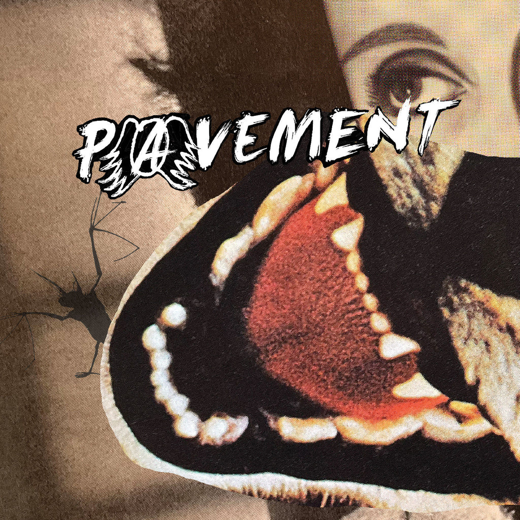 Pavement - Hecklers Choice: Big Gums And Heavy Lifters - A Pavement Collection ((Vinyl))
